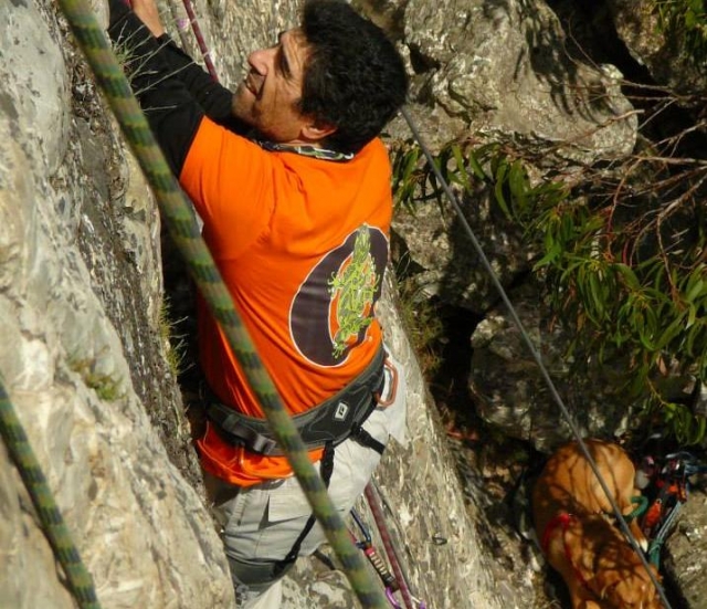  sulla parete 